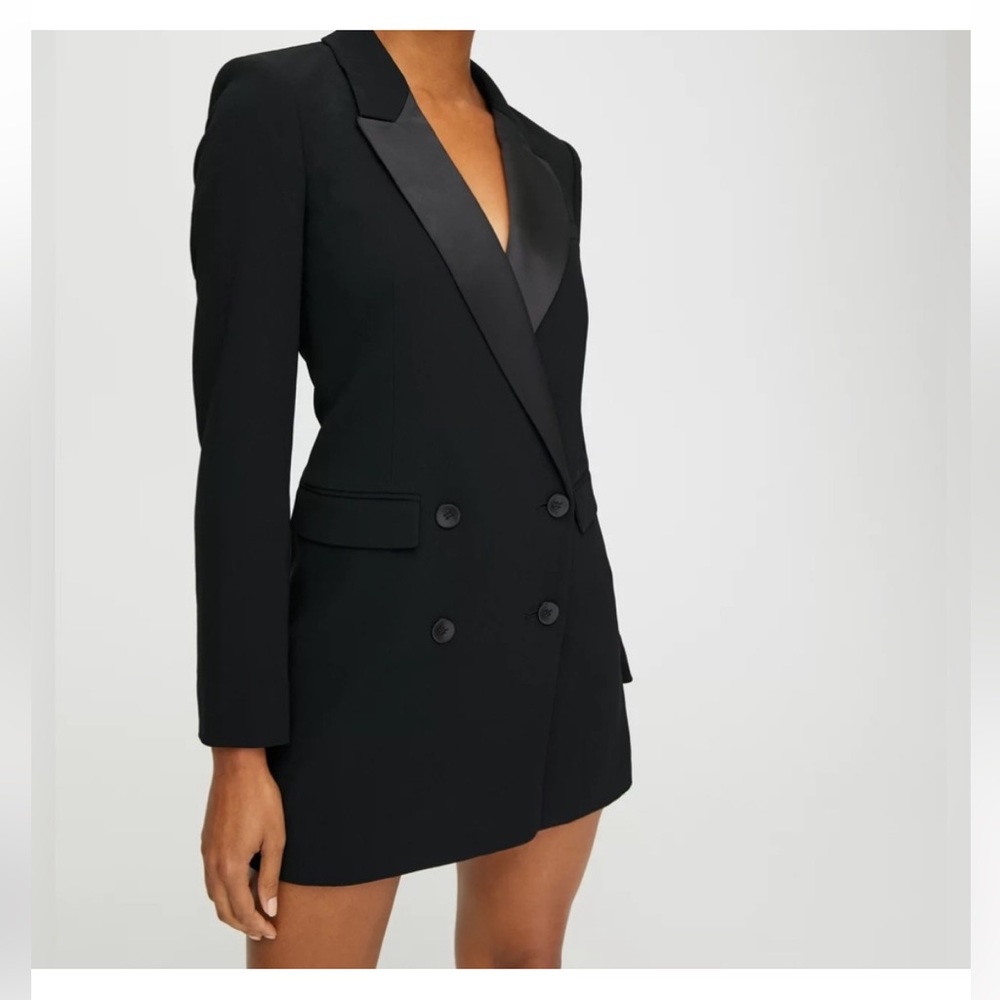 Aritzia Babaton Blazer Dress